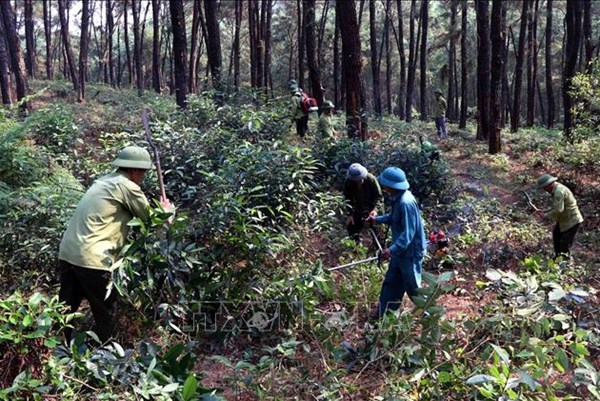Kiên Giang không chủ quan trong phòng, chữa cháy rừng