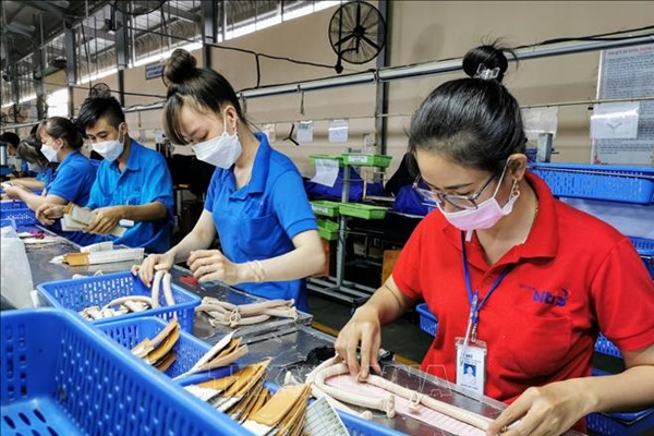 Cần Thơ thành lập Tổ công tác đặc biệt tháo gỡ khó khăn cho doanh nghiệp