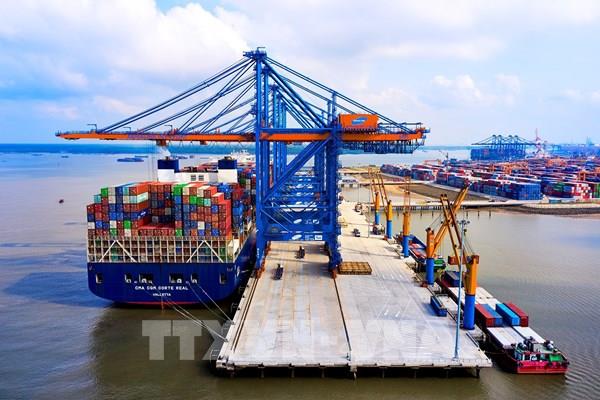 Logistics xanh thúc đẩy xuất nhập khẩu nông sản, dược phẩm Việt Nam - Australia