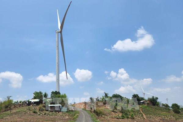 Gia Lai yêu cầu dừng vận hành thử nghiệm dự án điện gió Ia Le 1