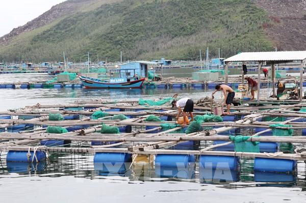 Việt Nam - Na Uy hợp tác nuôi trồng thủy sản trên biển
