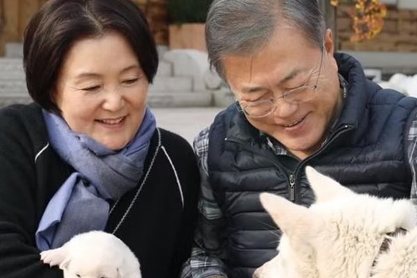 Hàn Quốc: Sôi động “nền kinh tế thú cưng”