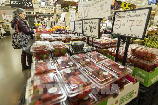 Lạm phát và lãi suất cao làm khó kế hoạch tiết kiệm tiền hưu trí của người Canada