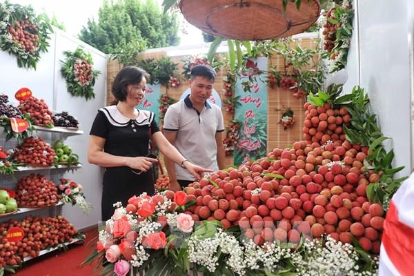 Sẽ xuất khẩu vải thiều Bắc Giang bằng đường sắt qua ga Kép