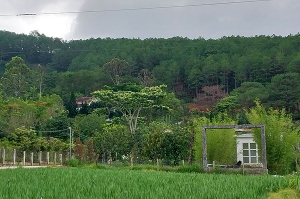 Cưỡng chế 7 công trình trái phép của một cá nhân ngay cửa ngõ Đà Lạt