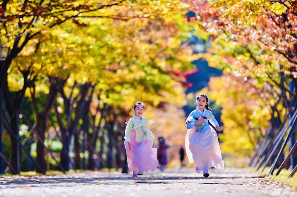 Việt Nam là thị trường du lịch tiềm năng của Hàn Quốc