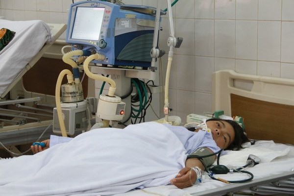 Khuyến cáo không ăn nấm độc, côn trùng lạ, cá nóc, so biển, ốc lạ, cây, quả lạ