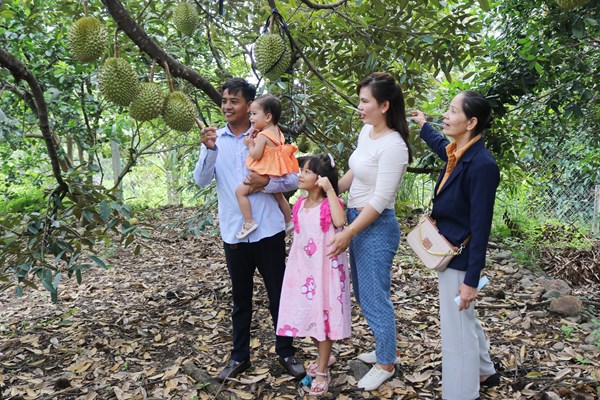 Đến Ninh Sơn trải nghiệm du lịch sinh thái nông nghiệp