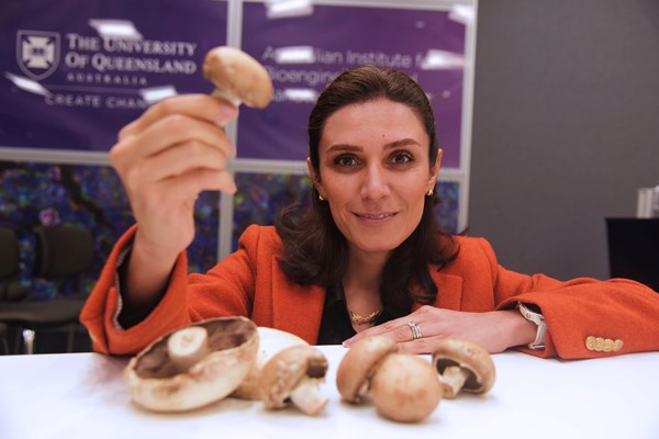 Australia phát triển túi trồng cây phân hủy sinh học thế hệ mới