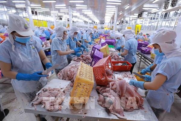 Doanh nghiệp thủy sản chờ bứt tốc 