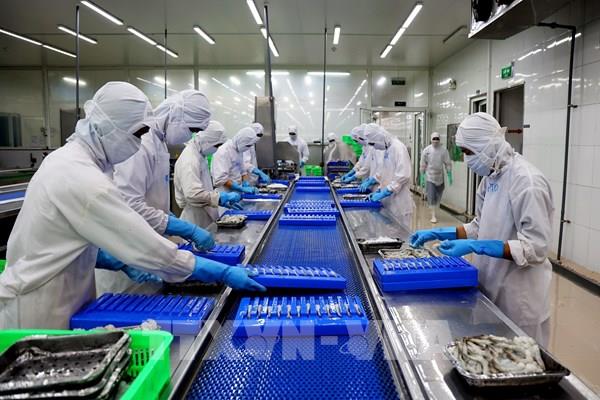 Định vị ngành thủy sản Việt Nam trên bản đồ thế giới 
