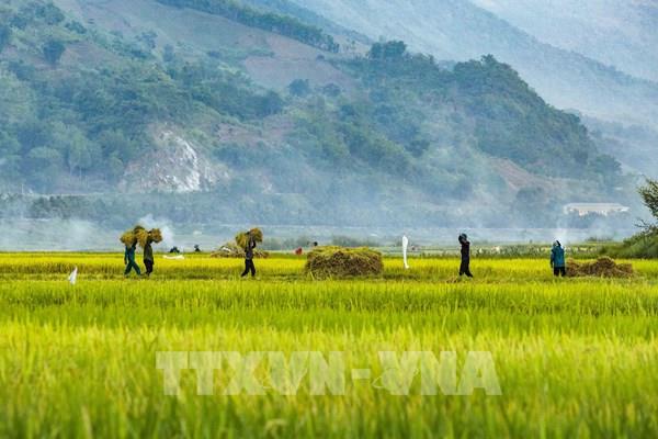  Mùa nước cạn ở thị xã Mường Lay