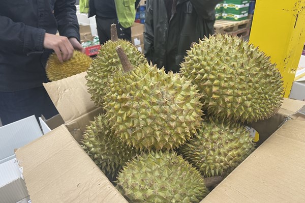 Tín hiệu tích cực từ xuất khẩu sầu riêng Việt Nam sang Anh