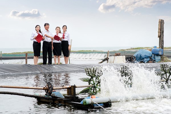 Agribank đồng hành chương trình "Cùng ngư dân thắp sáng đèn trên biển"