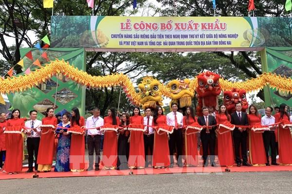 Đồng Nai xuất khẩu chính ngạch 360 tấn sầu riêng đầu tiên đi Trung Quốc