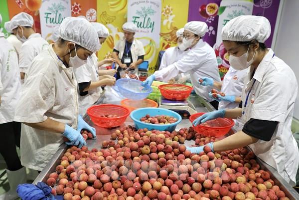 Thủ tục “con” về đất đai tạo gánh nặng chi phí cho doanh nghiệp