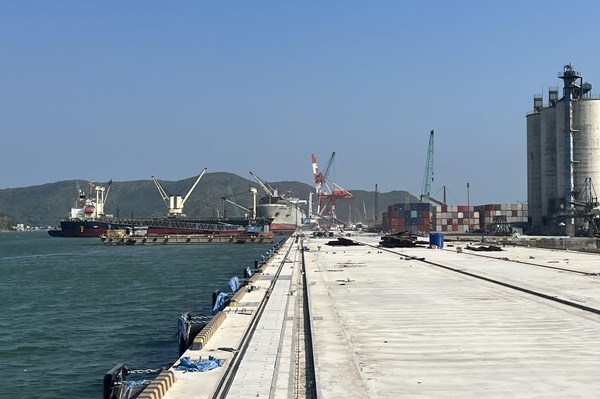 Kết nối doanh nghiệp Nhật Bản đến với Bình Định