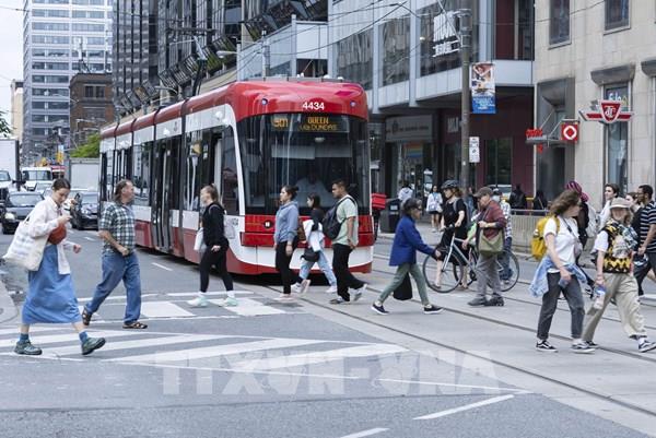 Khoảng 1/3 người Canada dùng trí tuệ nhân tạo quản lý tài chính