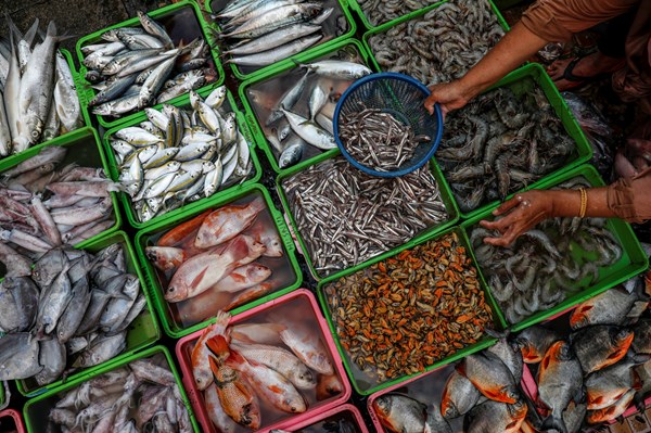 Hàn Quốc giảm mạnh nhập khẩu hải sản từ Nhật Bản