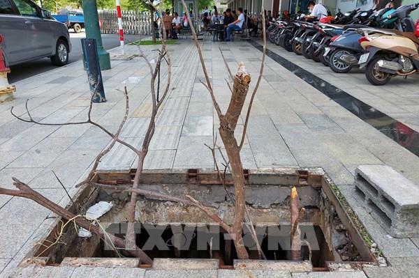 Nhiều thiết bị tại 4 tuyến đường chính Khu đô thị mới Thủ Thiêm bị mất cắp