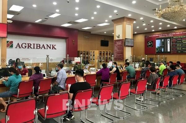 Dồi dào nguồn tín dụng dành cho lĩnh vực nông, lâm, thủy sản