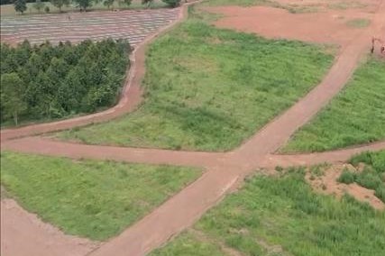 Khởi tố đối tượng thuê đất của Nhà nước rồi phân lô, bán nền