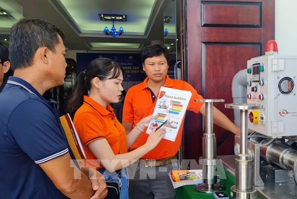 Nuôi tôm công nghệ cao hướng đến bền vững và hiệu quả