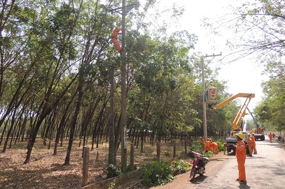Lịch cắt điện Đồng Nai ngày mai 13/9 cập nhật mới nhất
