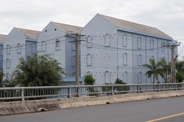 Số lượng nhà nuôi chim yến tại Long An tăng nhanh tiềm ẩn nhiều rủi ro