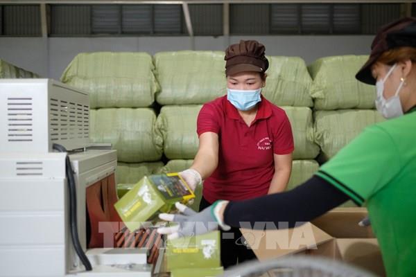 Lâm Đồng khuyến cáo doanh nghiệp không sử dụng hoá chất nhuộm chè