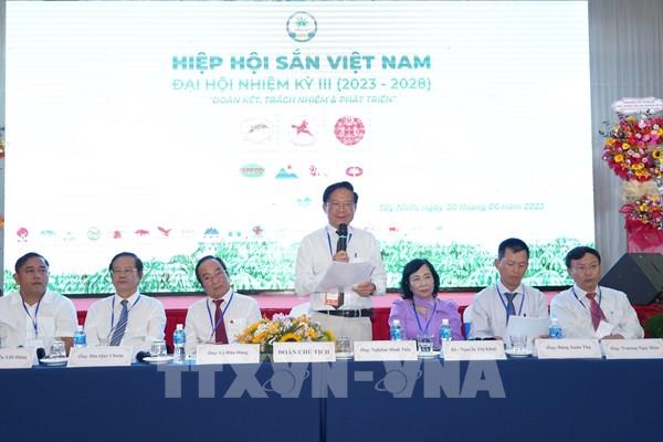 Ngành sắn Việt Nam đặt mục tiêu đến năm 2028 xuất khẩu đạt 2 tỷ USD/năm