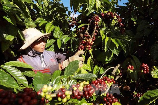 Kinh tế 6 tháng: Ngành nông nghiệp chuyển mạnh sang sinh thái, đa giá trị