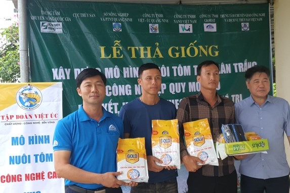 Triển khai mô hình nuôi tôm thẻ chân trắng liên kết hợp tác theo chuỗi giá trị 