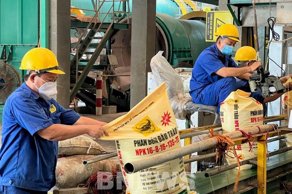 Phân bón Bình Điền tập trung sản xuất sản phẩm cho vùng lúa, vùng hạn mặn