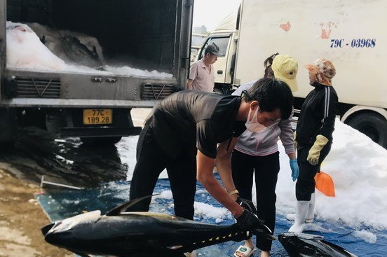 Thí điểm lắp đặt nhật ký khai thác điện tử cho tàu cá