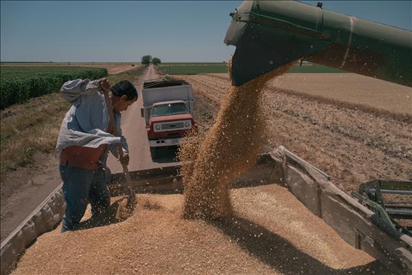 Lĩnh vực sản xuất phân bón tại Mexico thu hút nhà đầu tư nước ngoài