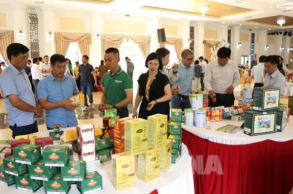 Bàn giải pháp phát triển dược liệu theo chuỗi giá trị gắn với du lịch sinh thái