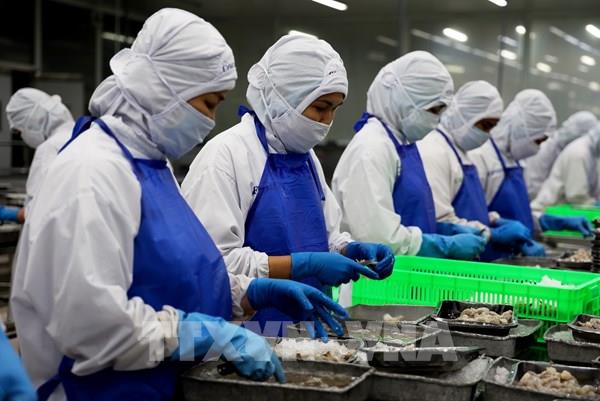 Thị trường xuất khẩu trước bài toán sống - còn!