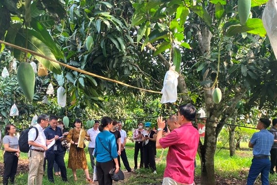 Xây dựng Chiến lược phát triển khuyến nông định hướng đến năm 2050