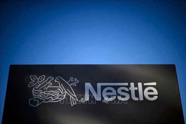 Tập đoàn Nestlé cân nhắc bán lại công ty Palforzia