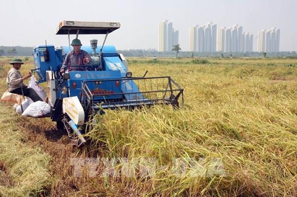Hà Nội đẩy nhanh cơ cấu sản xuất hợp lý theo 3 vùng sinh thái