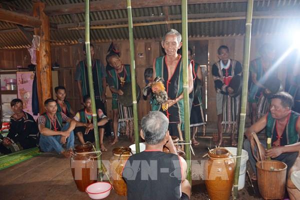 Phục dựng Lễ mừng thọ của người M’nông