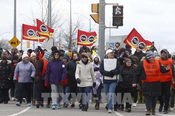 Canada: Nhân viên các cảng ngừng đình công