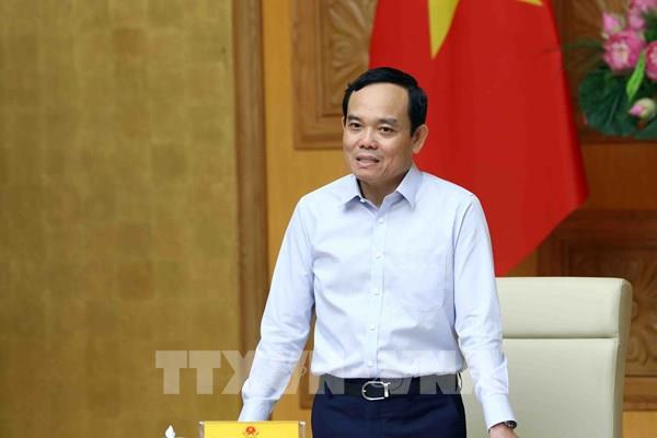 Phó Thủ tướng Trần Lưu Quang chủ trì họp Ban Chỉ đạo xây dựng và quản lý vị trí việc làm