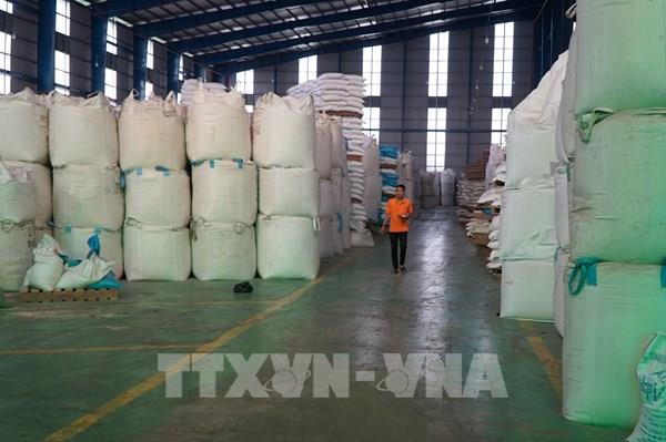 Xuất khẩu gạo: Thận trọng trước cơ hội lớn