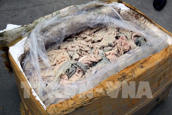 Hải Dương: Phát hiện hộ kinh doanh tàng trữ hơn 2,3 tấn nội tạng lợn bốc mùi hôi thối