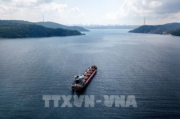 Thổ Nhĩ Kỳ khẳng định Nga đã nhất trí gia hạn Sáng kiến Ngũ cốc Biển Đen