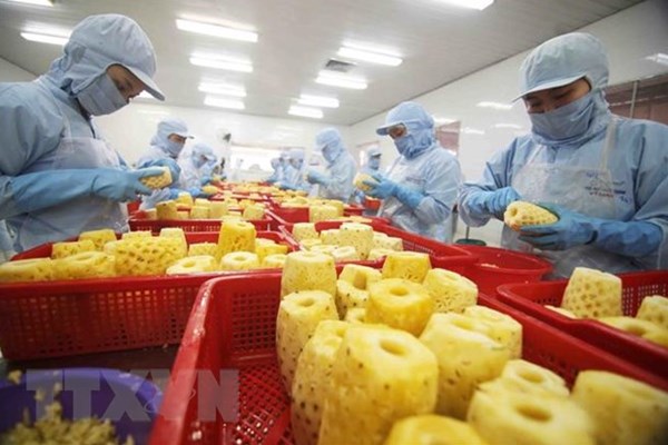 Ứng dụng công nghệ, giải pháp để thúc đẩy xuất khẩu gia vị, nông sản và rau quả