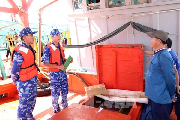 Bắt giữ giữ tàu vận chuyển trái phép dầu DO với số lượng lớn trên vùng biển Tây Nam