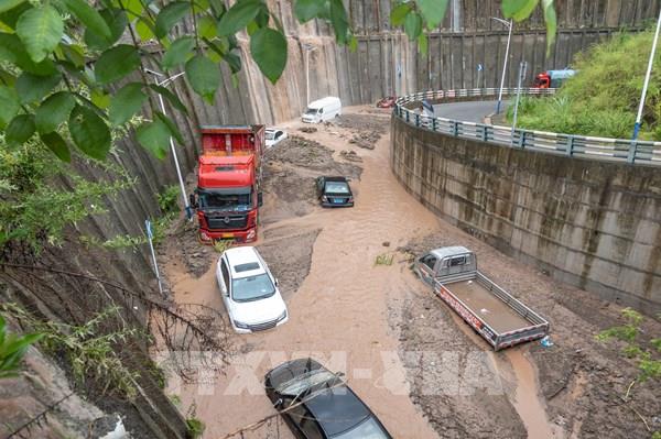 Trung Quốc nâng cảnh báo bão Talim lên mức nguy hiểm cao thứ hai